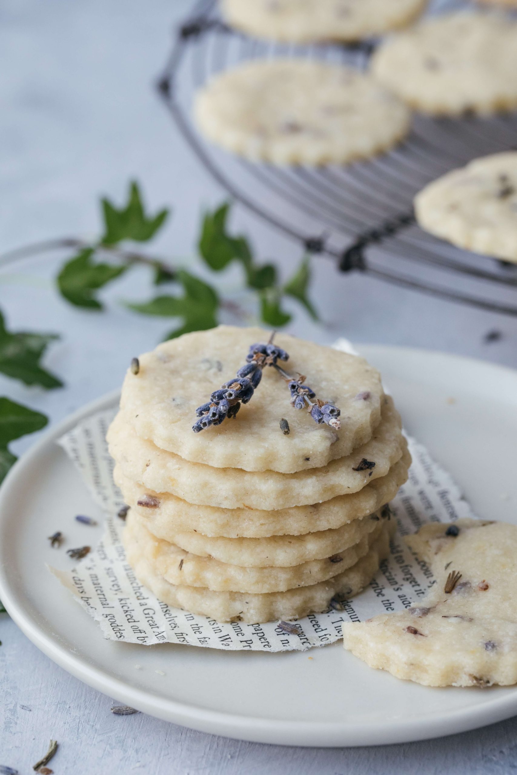 Shortbread Cookies